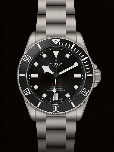 tudor pelagos test